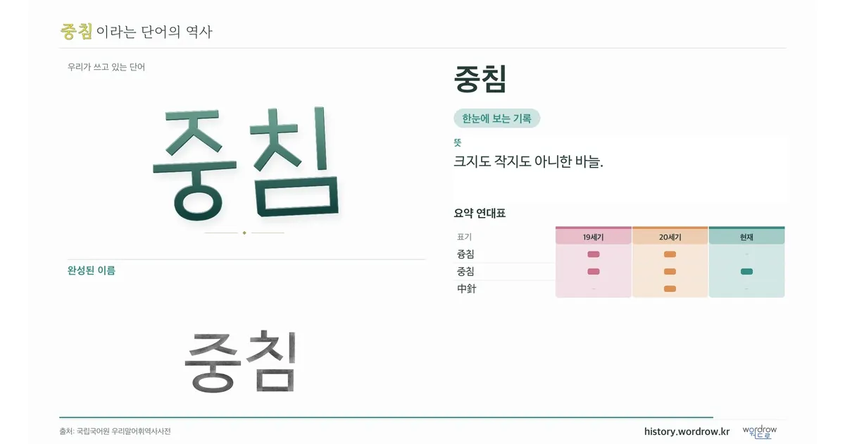 중침 대표 이미지