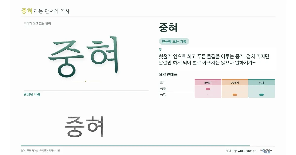 중혀 대표 이미지