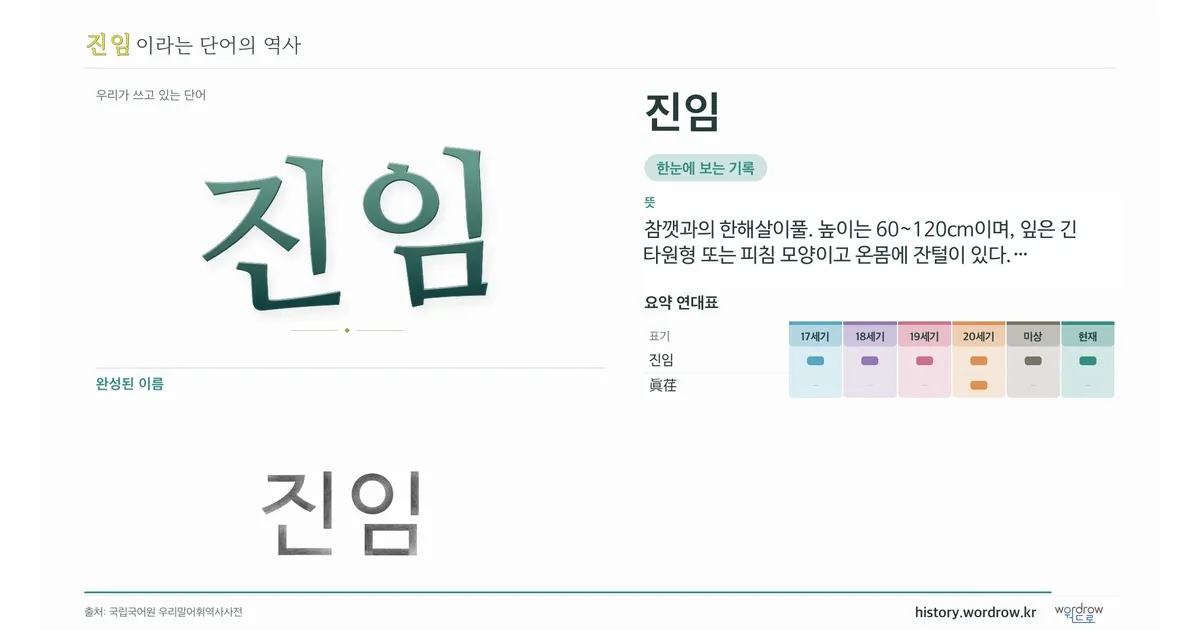 진임 대표 이미지