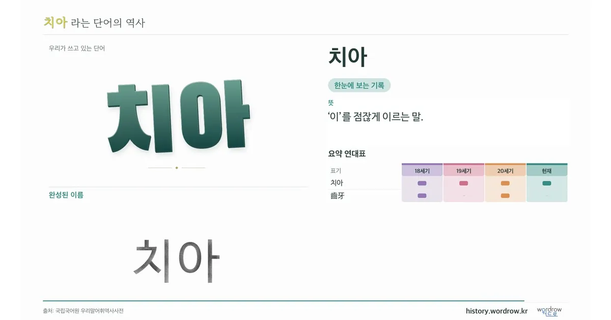 치아 대표 이미지