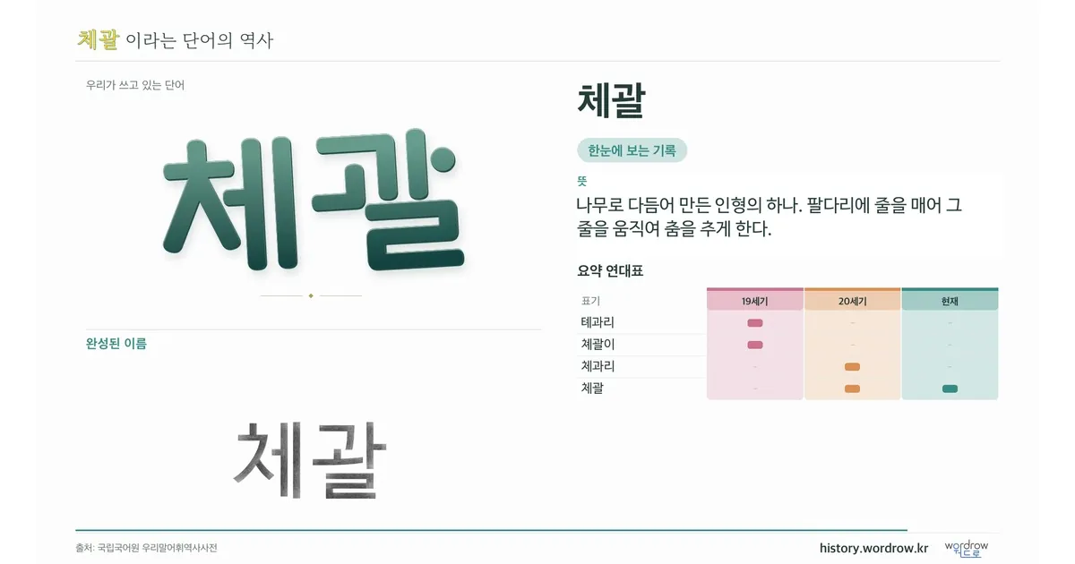 체괄 대표 이미지