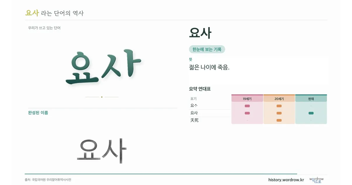 요사 대표 이미지