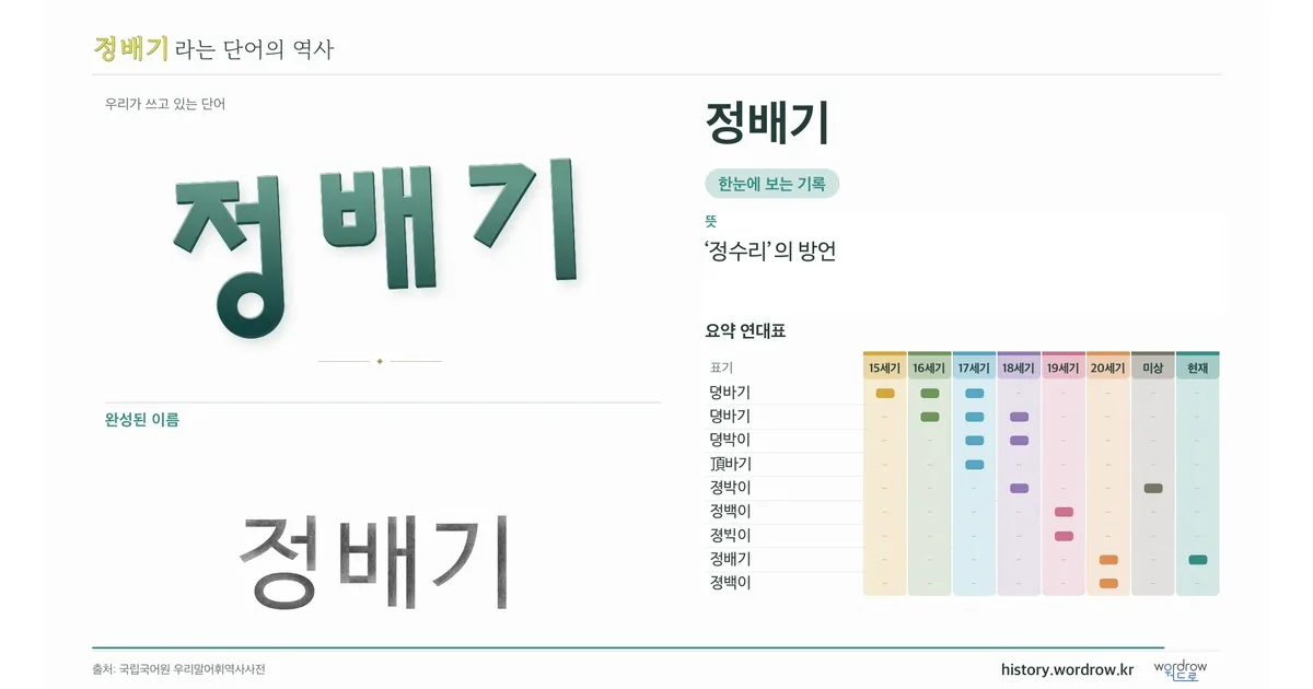 정배기 대표 이미지