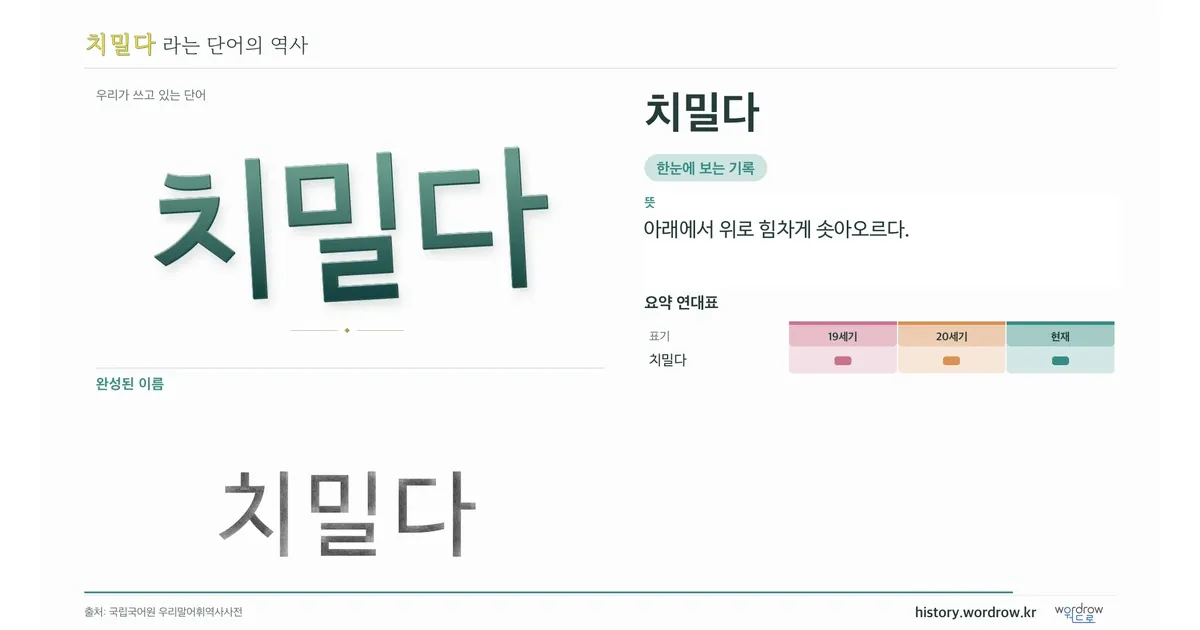 치밀다 대표 이미지