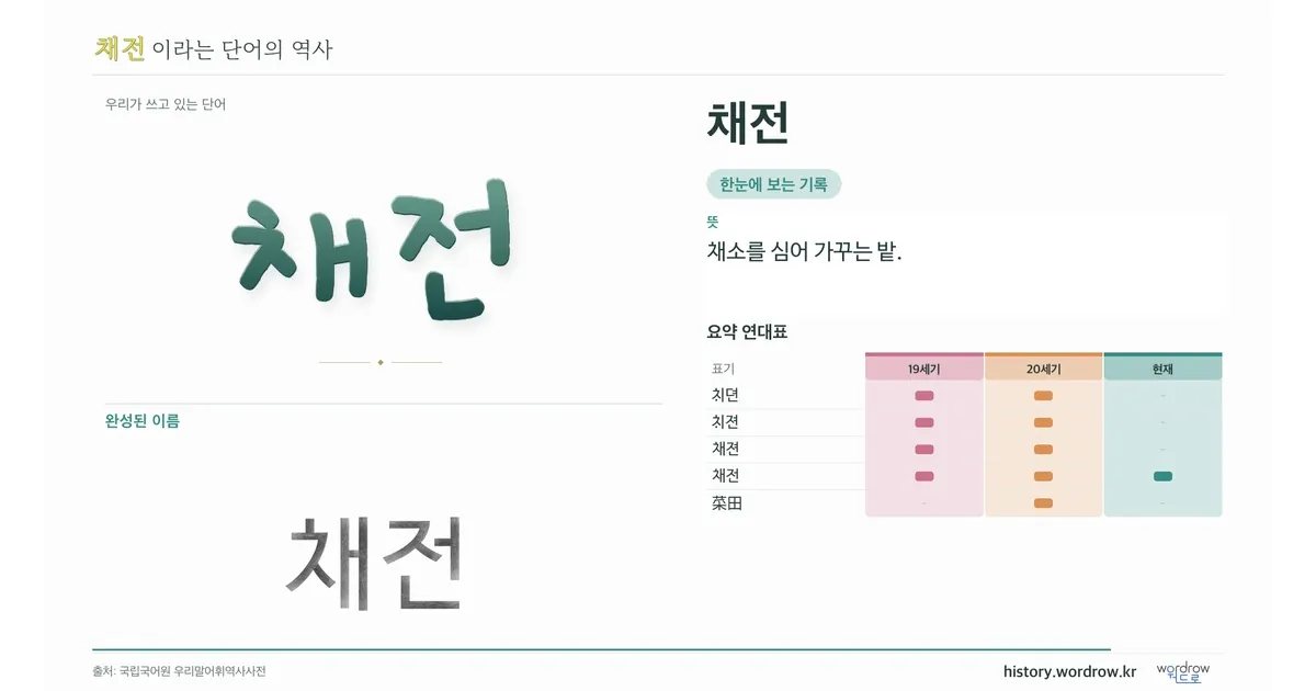 채전 대표 이미지