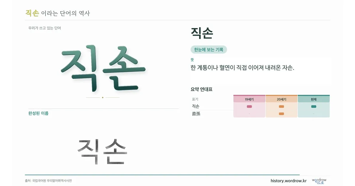 직손 대표 이미지