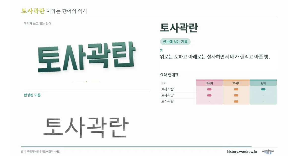 토사곽란 대표 이미지