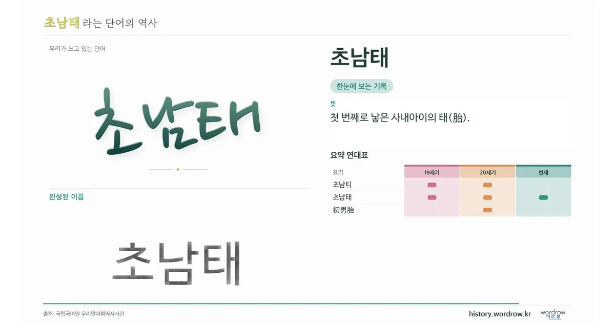 초남태 대표 이미지