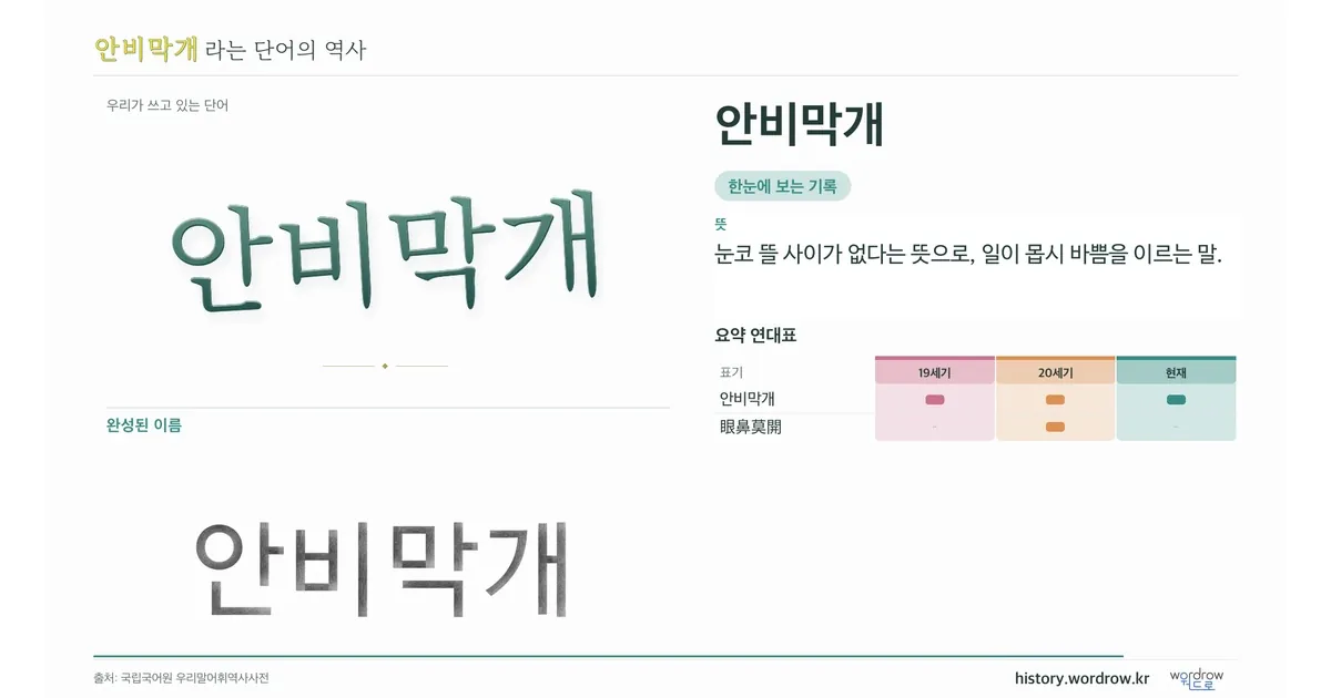 안비막개 대표 이미지