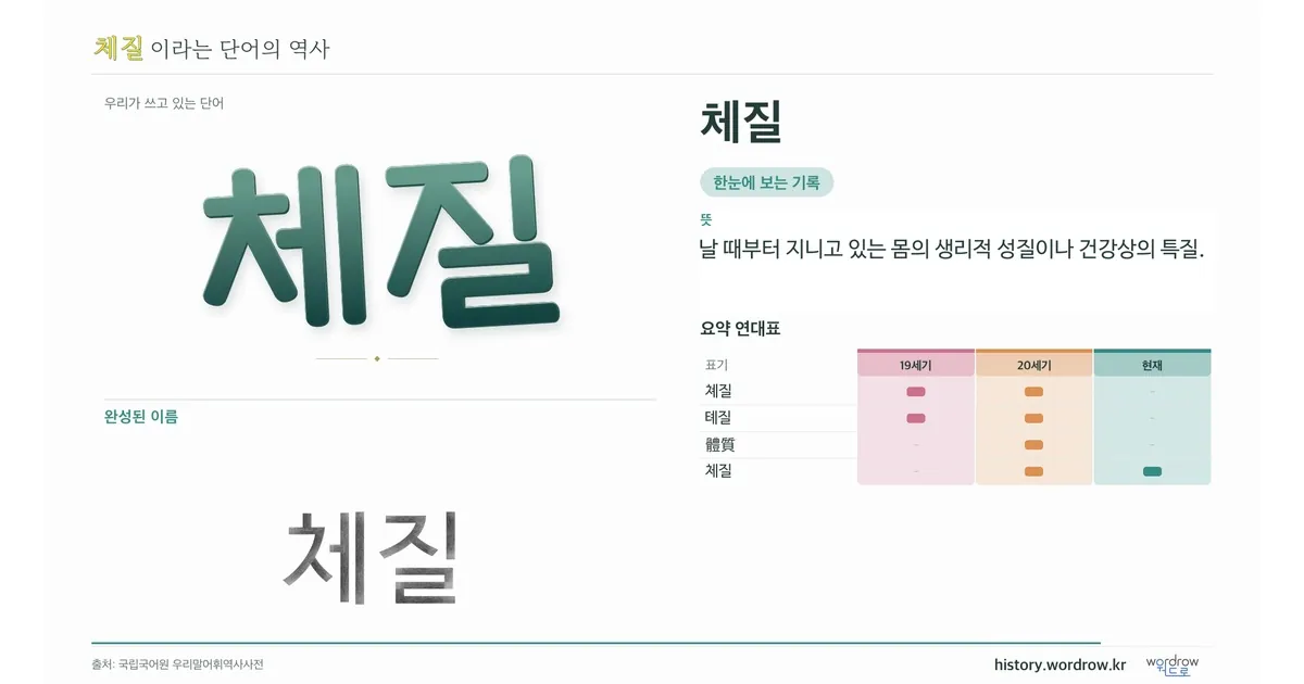 체질 대표 이미지