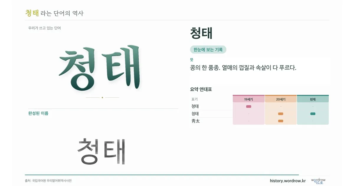 청태 대표 이미지