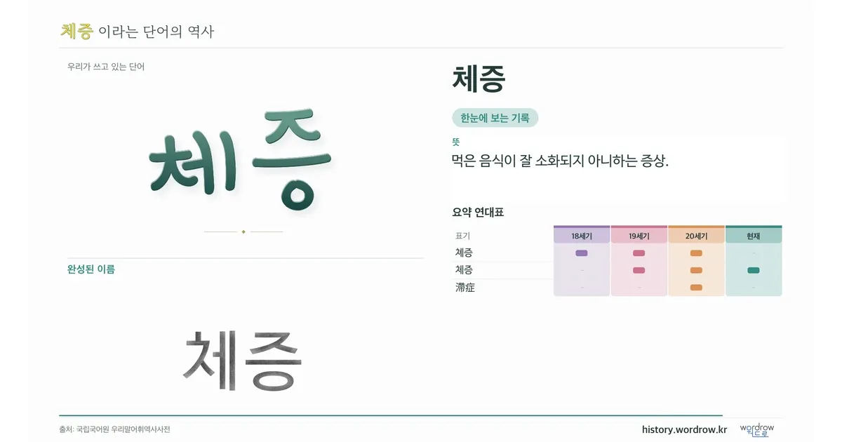 체증 대표 이미지