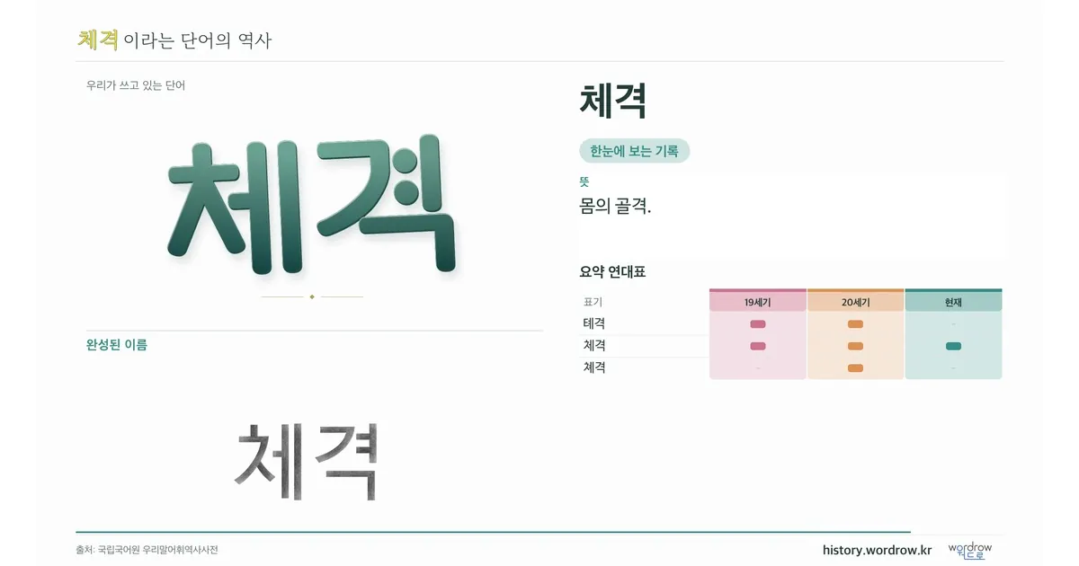 체격 대표 이미지