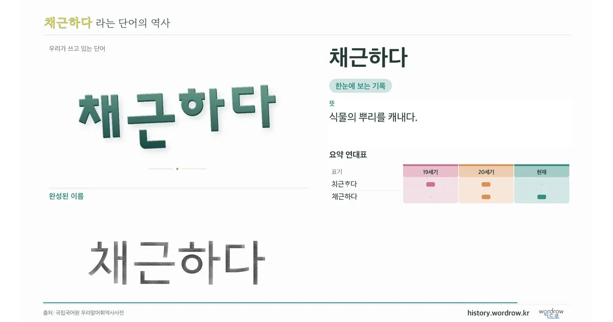 채근하다 대표 이미지