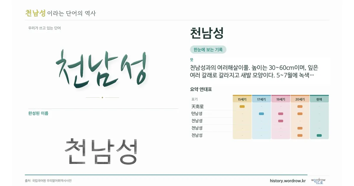 천남성 대표 이미지