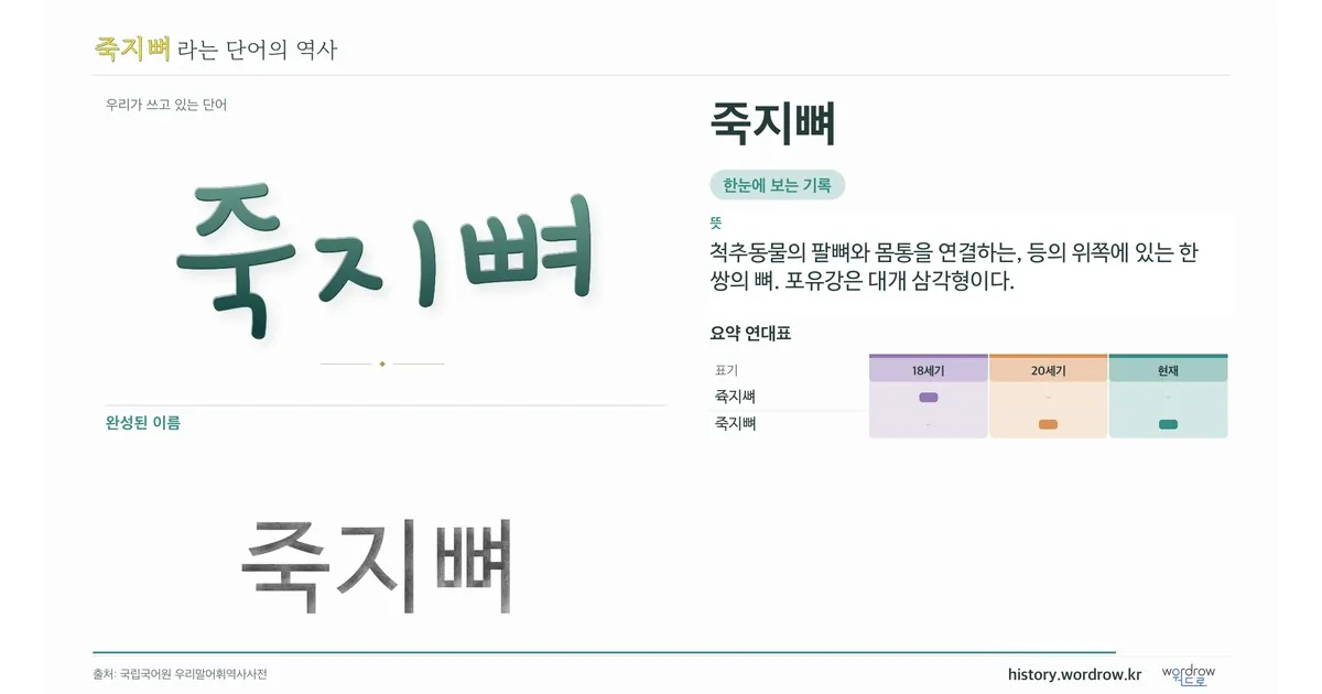 죽지뼈 대표 이미지