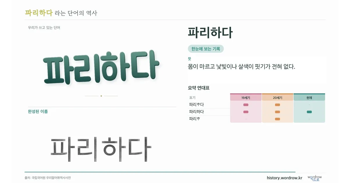 파리하다 대표 이미지