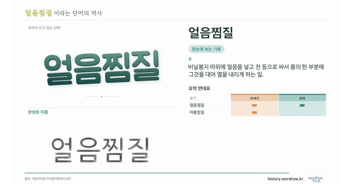 얼음찜질 대표 이미지