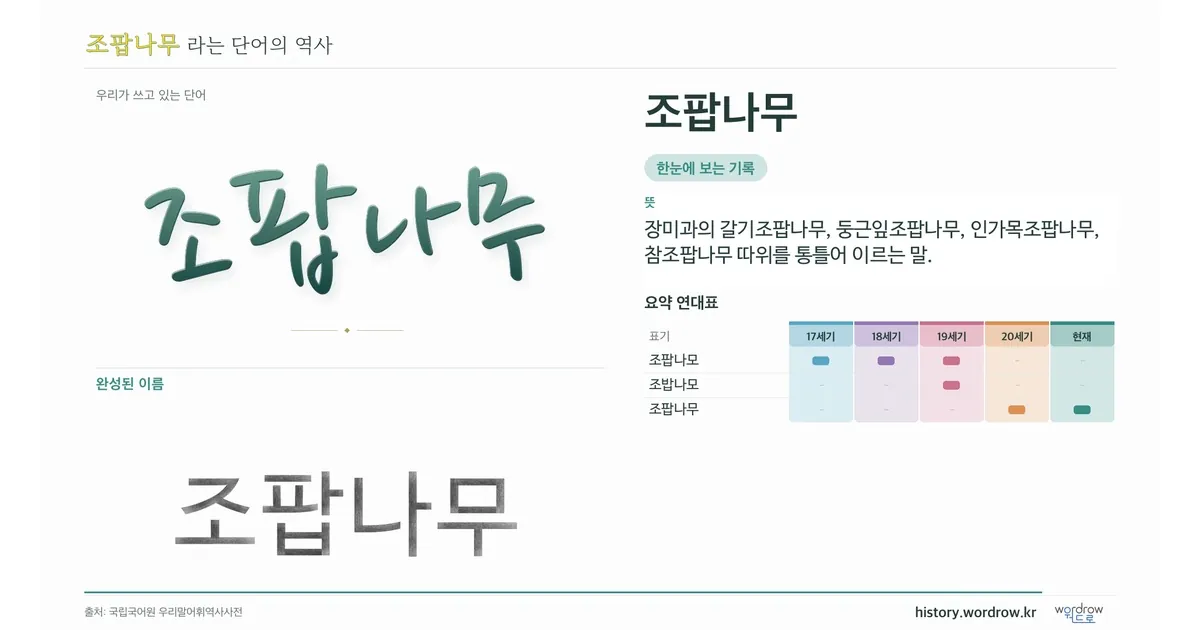 조팝나무 대표 이미지