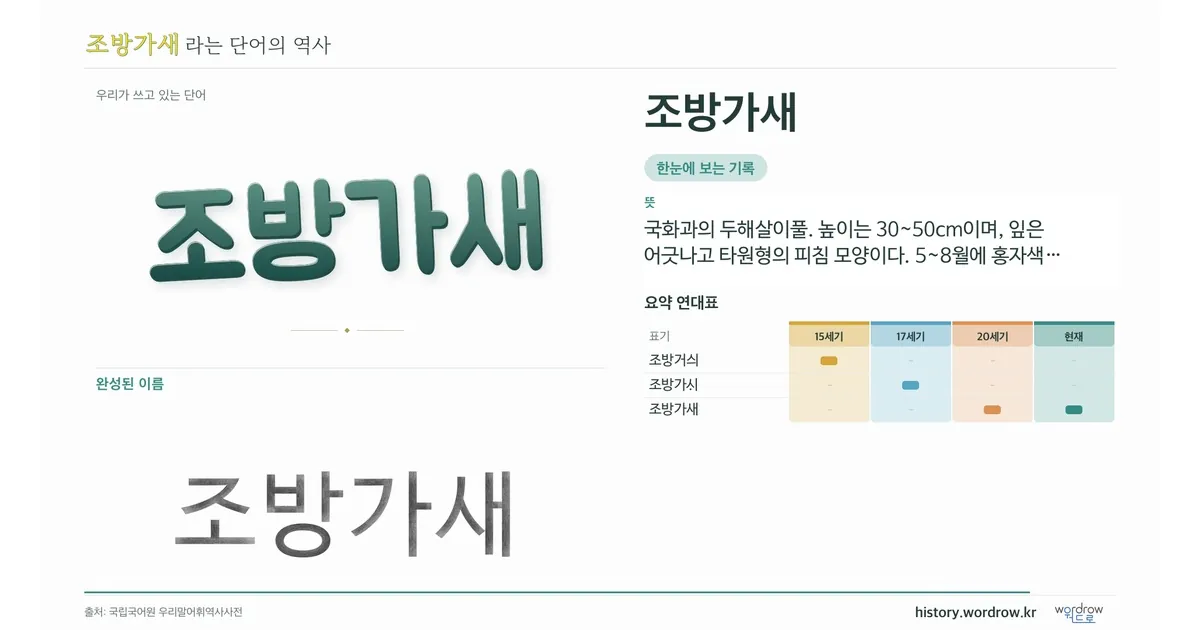 조방가새 대표 이미지