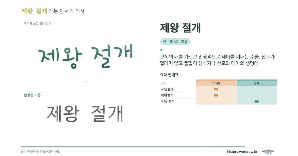 제왕 절개 대표 이미지