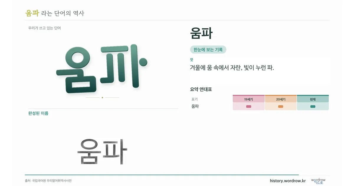 움파 대표 이미지