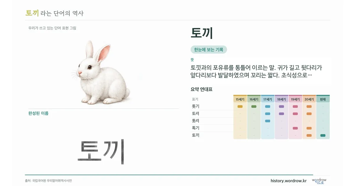 토끼 대표 이미지