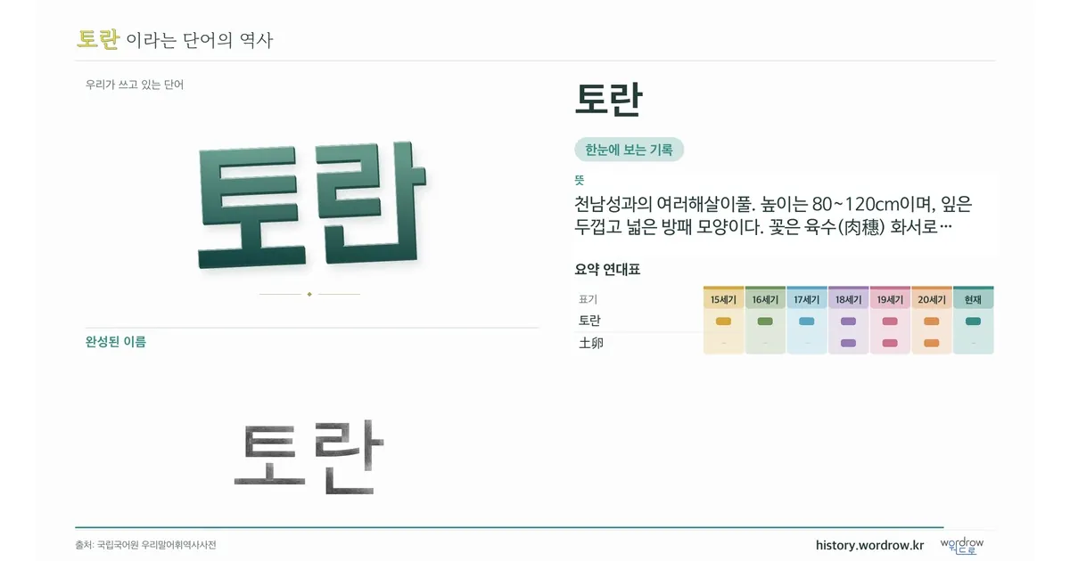 토란 대표 이미지