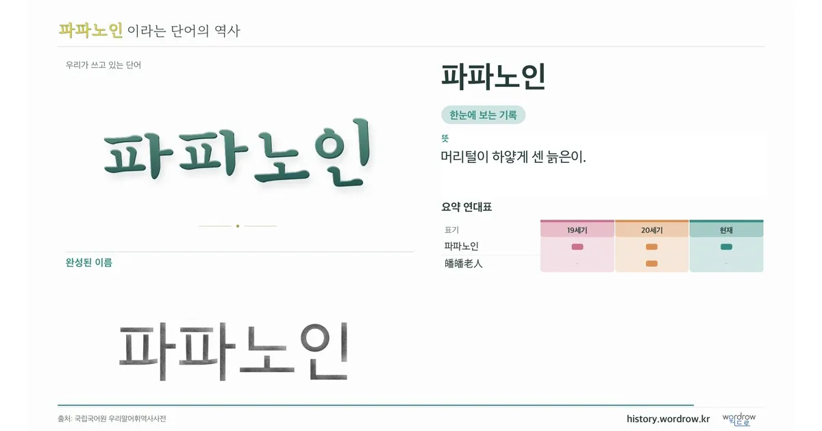 파파노인 대표 이미지
