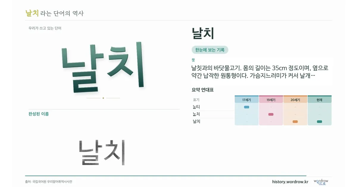 날치 대표 이미지