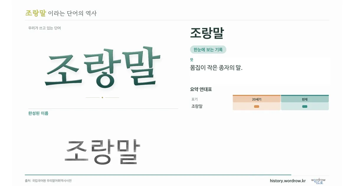 조랑말 대표 이미지