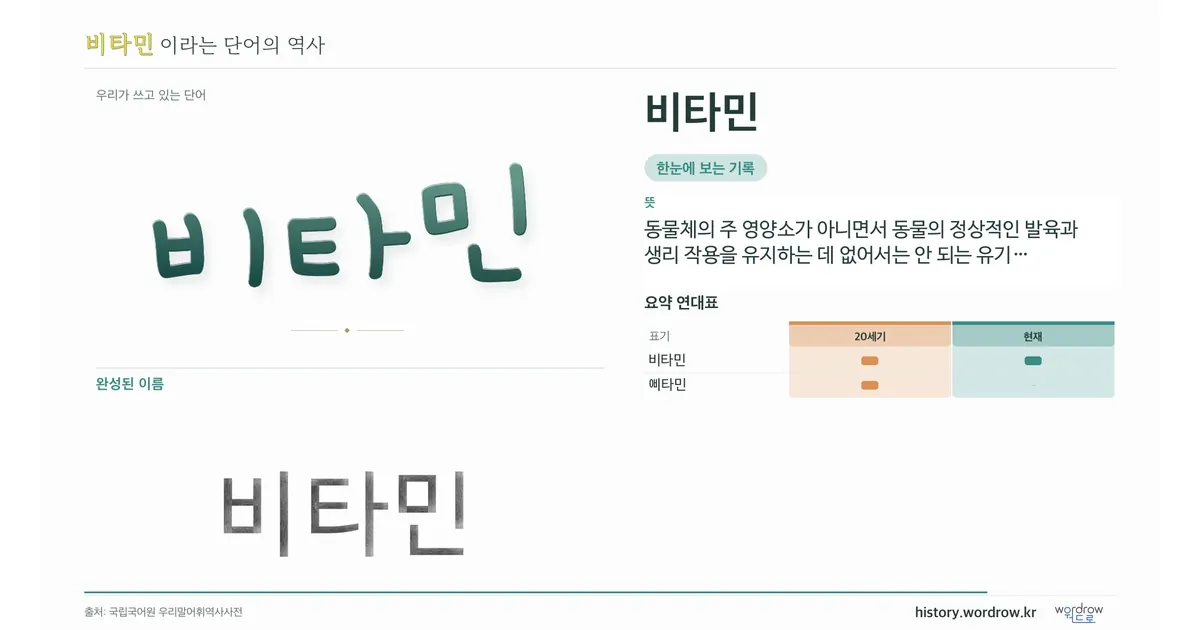 비타민 대표 이미지