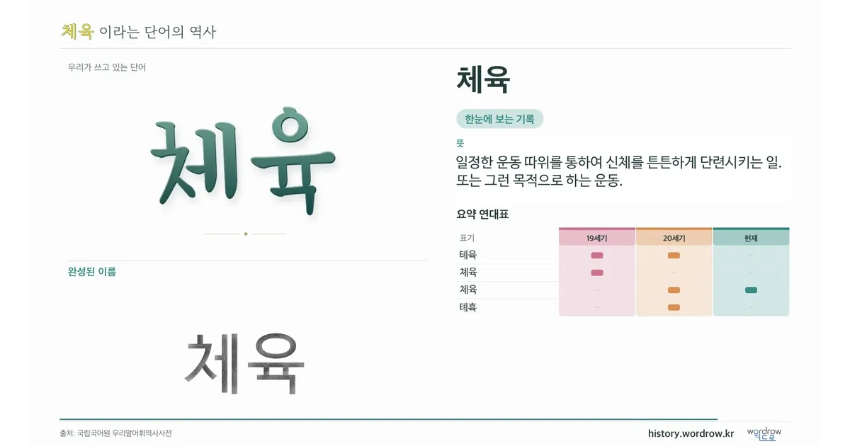 체육 대표 이미지