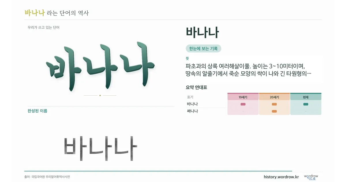 바나나 대표 이미지