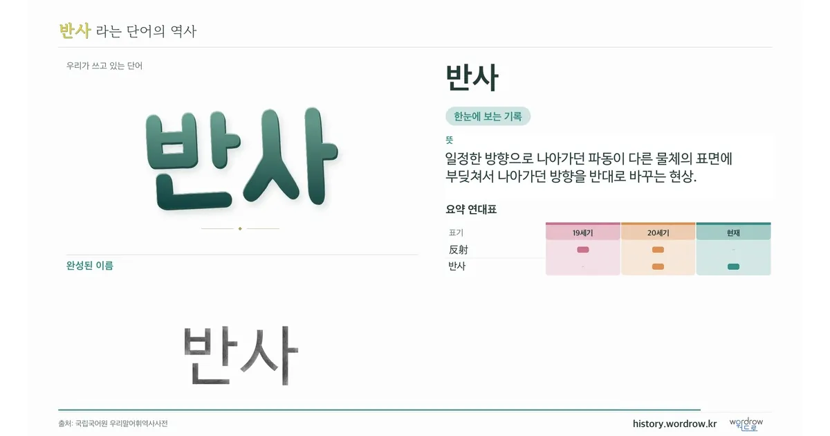 반사 대표 이미지