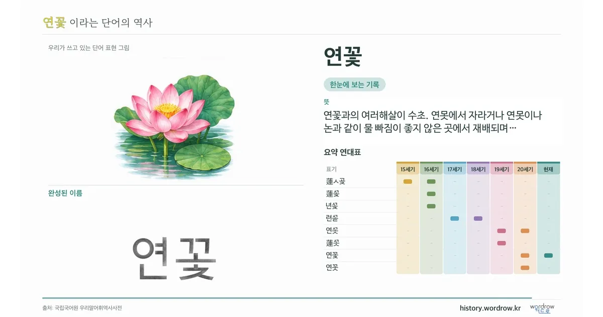 연꽃 대표 이미지
