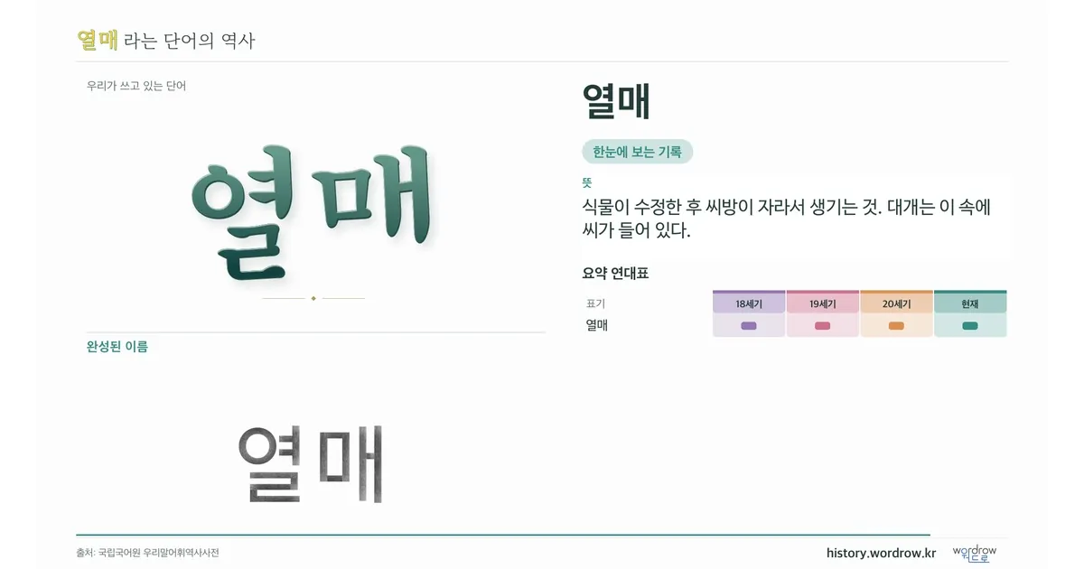 열매 대표 이미지