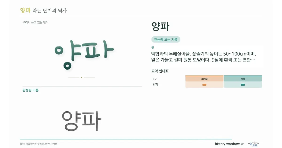 양파 대표 이미지