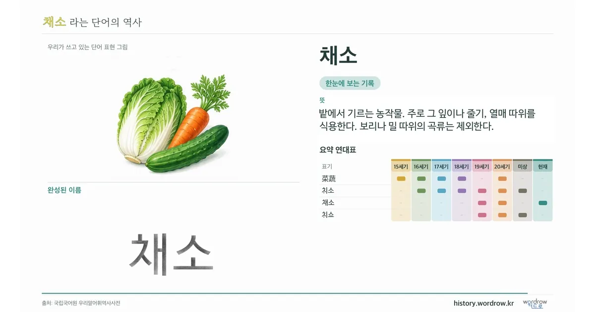 채소 대표 이미지