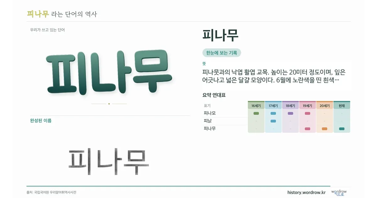 피나무 대표 이미지