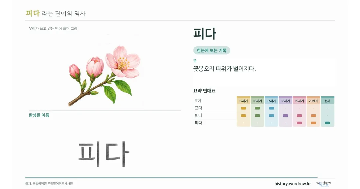 피다 대표 이미지