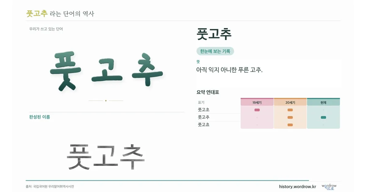 풋고추 대표 이미지