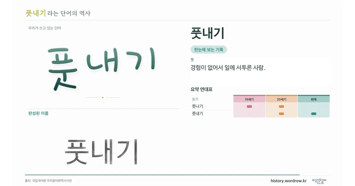 풋내기 대표 이미지