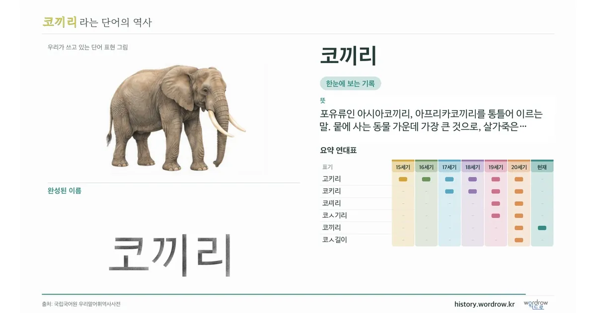 코끼리 대표 이미지