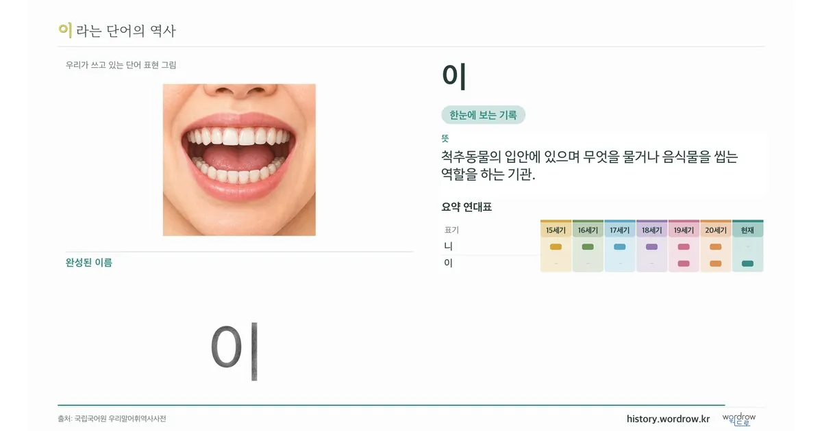 이 대표 이미지