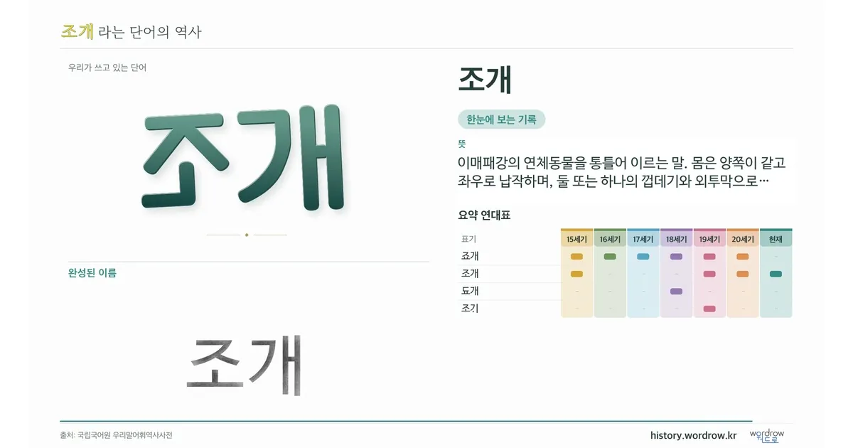 조개 대표 이미지