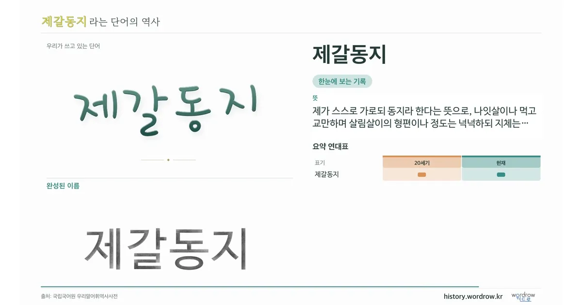 제갈동지 대표 이미지