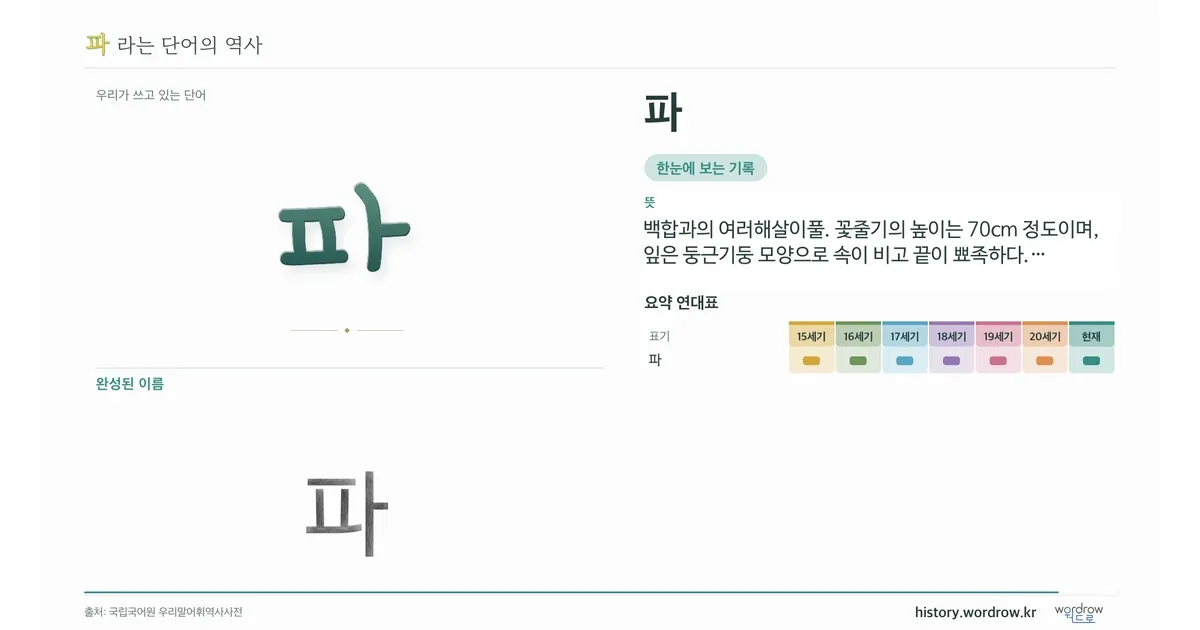 파 대표 이미지