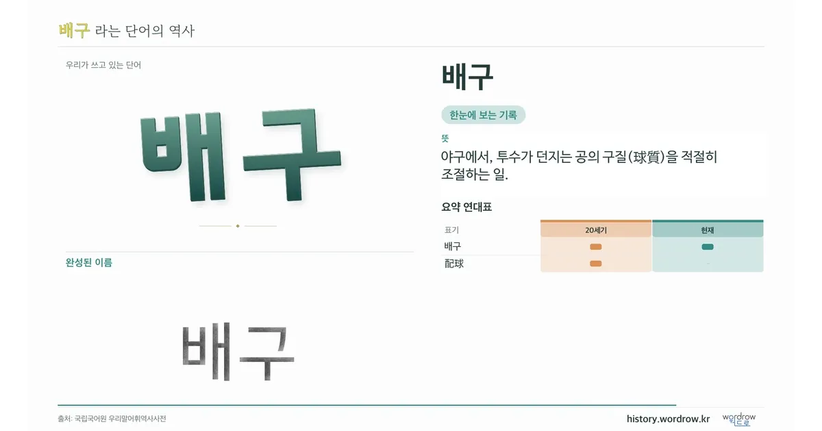 배구 대표 이미지