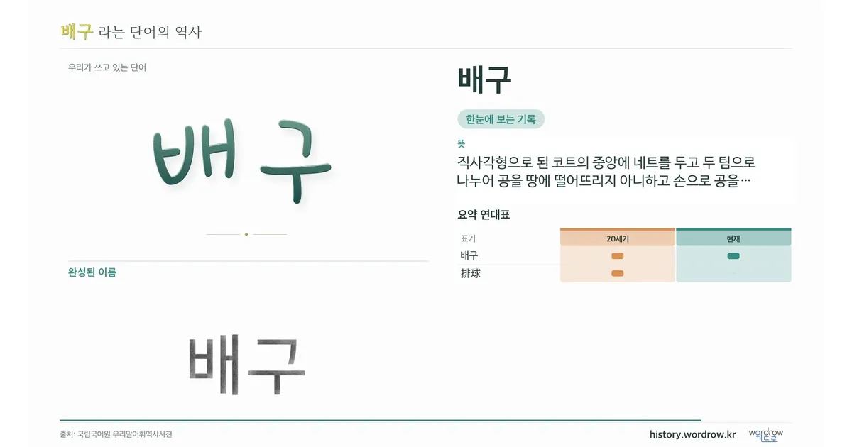 배구 대표 이미지